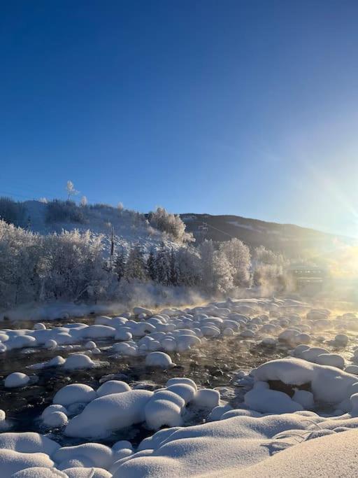 Delikat Hytte Omgitt Av Hallingdals Vakre Fjell อัล ภายนอก รูปภาพ
