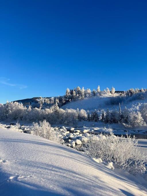 Delikat Hytte Omgitt Av Hallingdals Vakre Fjell อัล ภายนอก รูปภาพ
