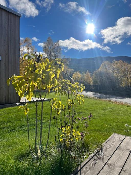 Delikat Hytte Omgitt Av Hallingdals Vakre Fjell อัล ภายนอก รูปภาพ