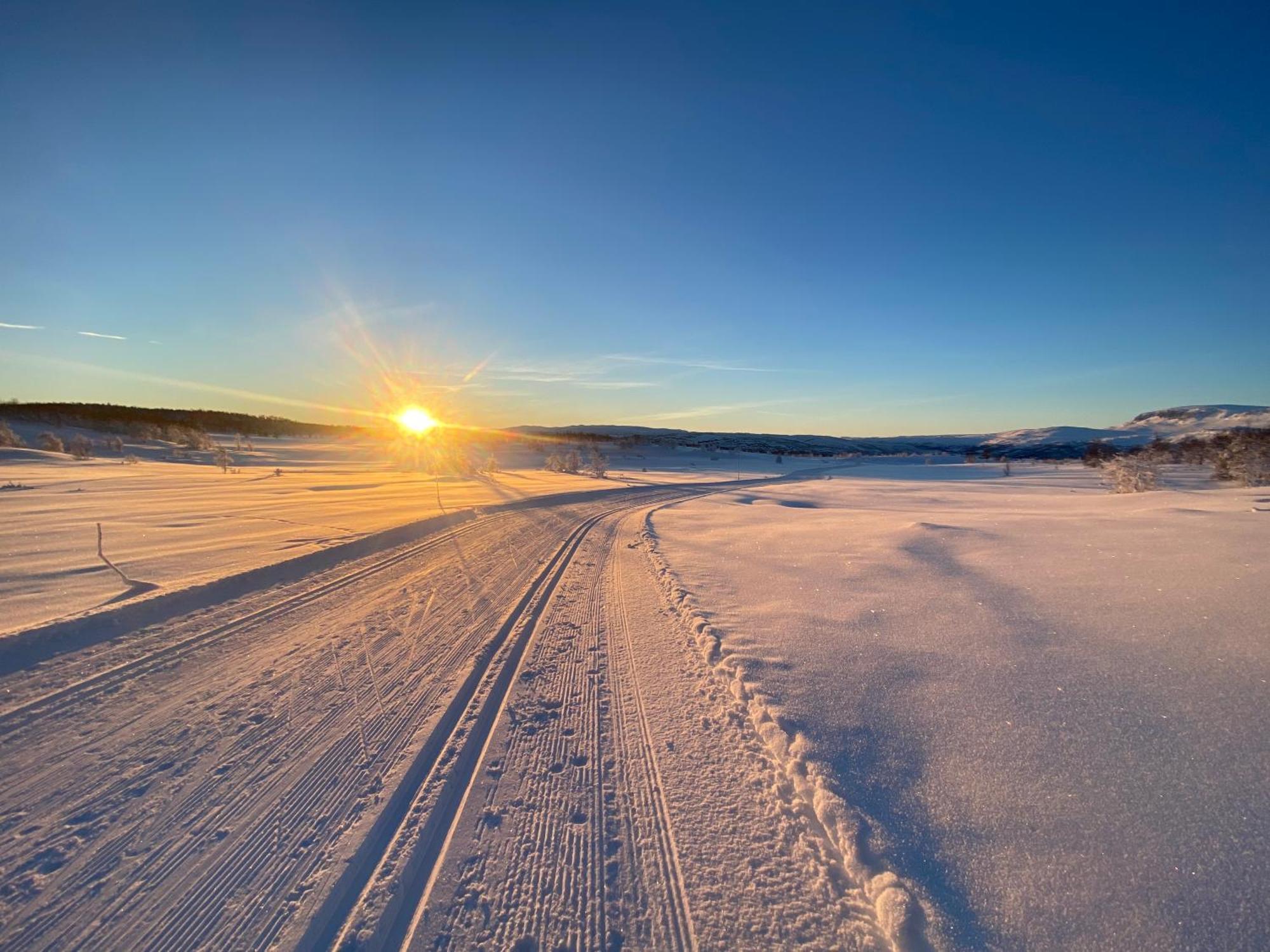 Delikat Hytte Omgitt Av Hallingdals Vakre Fjell อัล ภายนอก รูปภาพ